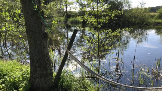 schmerzfrei meditieren in NeuPlaue